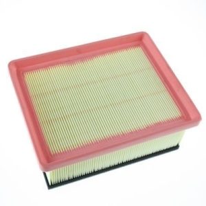 Filtru aer AUTOMEGA 180030010 – PEOUGET | AutoRival