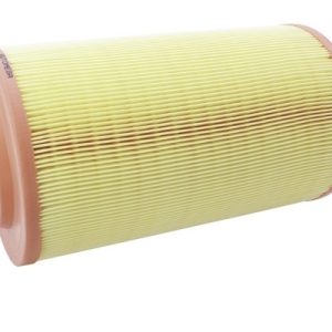 Filtru aer AUTOMEGA 180034410 – PEOUGET | AutoRival
