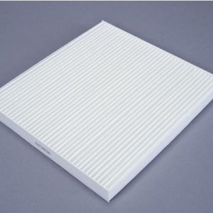 Filtru aer habitaclu AUTOMEGA 180048810 – PEOUGET | AutoRival
