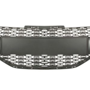 Grila radiator BLIC 6502-07-5509990P – PEOUGET | AutoRival