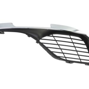 Grila ventilatie bara protectie BLIC 6502-07-5519916PP – PEOUGET | AutoRival