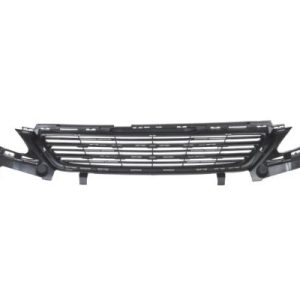 Grila radiator BLIC 6502-07-5519995P – PEOUGET | AutoRival