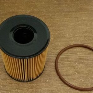 Filtru ulei STOCKER 0723001006 – PEOUGET | AutoRival
