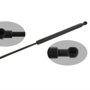 Amortizor portbagaj RINGER 1510053713 – PEOUGET | AutoRival