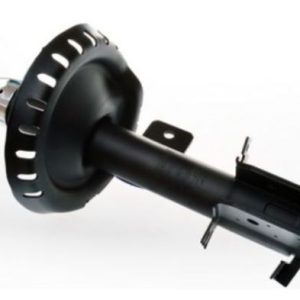 Amortizor RINGER 1542002219 – PEOUGET | AutoRival