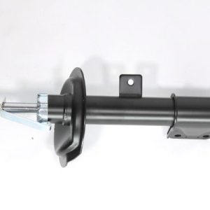 Amortizor QWP WSA295 – PEOUGET | AutoRival