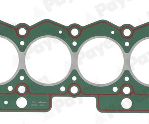 Garnitura chiulasa PAYEN BR490 – PEOUGET | AutoRival