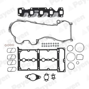 Set garnituri chiulasa PAYEN CD5821 – PEOUGET | AutoRival
