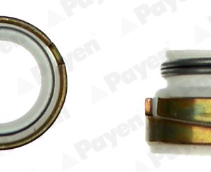Set garnituri ax supape PAYEN HR300 – PEOUGET | AutoRival