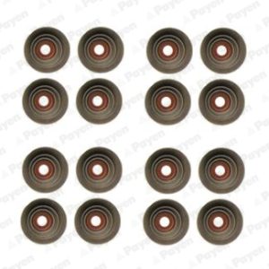 Set garnituri ax supape PAYEN HR5080 – PEOUGET | AutoRival