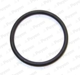 Garnitura carcasa termostat PAYEN LC292 – PEOUGET | AutoRival