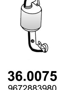 Catalizator ASSO 36.0075 – PEOUGET | AutoRival