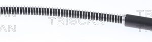Furtun frana TRISCAN 8150 28118 – PEOUGET | AutoRival