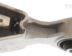 Suport motor TRISCAN 8505 10107 – PEOUGET | AutoRival