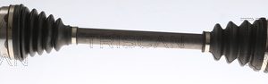 Planetara TRISCAN 8540 10545 – PEOUGET | AutoRival