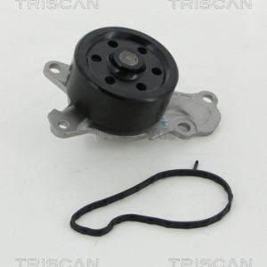Pompa de apa TRISCAN 8600 10039 – PEOUGET | AutoRival