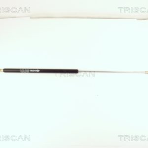 Amortizor portbagaj TRISCAN 8710 15210 – PEOUGET | AutoRival