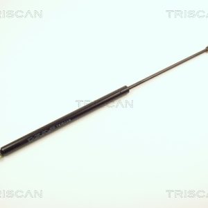 Amortizor portbagaj TRISCAN 8710 2808 – PEOUGET | AutoRival