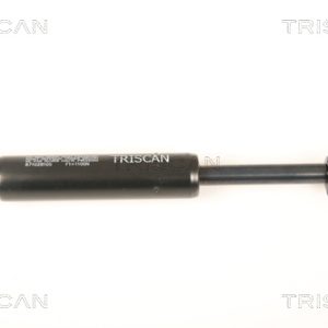 Amortizor capota TRISCAN 8710 28105 – PEOUGET | AutoRival