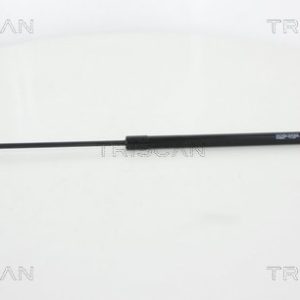 Amortizor portbagaj TRISCAN 8710 28243 – PEOUGET | AutoRival