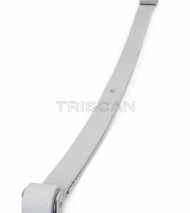 Pachet arc cu foi TRISCAN 8765 10006 – PEOUGET | AutoRival