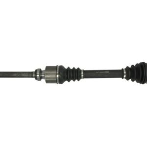 Planetara PASCAL G2P004PC