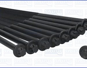 Set surub chiulasa AJUSA 81006700 – PEOUGET | AutoRival