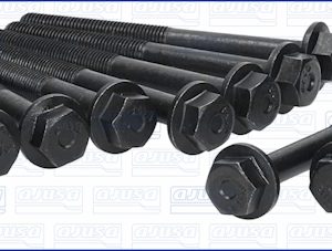 Set surub chiulasa AJUSA 81007100 – PEOUGET | AutoRival