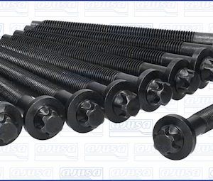 Set surub chiulasa AJUSA 81024700 – PEOUGET | AutoRival