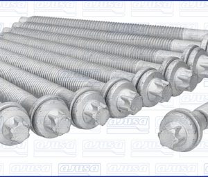 Set surub chiulasa AJUSA 81028600 – PEOUGET | AutoRival