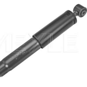 Amortizor RENAULT KANGOO Express (FC0/1_) 1.2 (FC01, FC0A, FC0F) benzina 58 cai MEYLE 16-26 725 0002