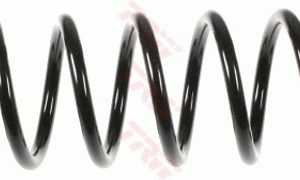 Arc spiral RENAULT MEGANE II (BM0/1_, CM0/1_) 1.6 16V (BM0C, CM0C) benzina 113 cai TRW JCS732