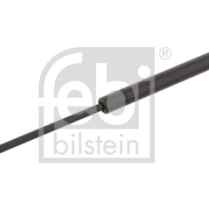 Amortizor portbagaj RENAULT CLIO II (BB_, CB_) 1.2 LPG Benzina/Autogaz (GPL) 58 cai FEBI BILSTEIN 27885
