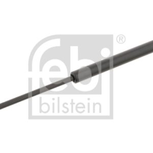 Amortizor portbagaj RENAULT MEGANE II (BM0/1_, CM0/1_) 2.0 dCi diesel 173 cai FEBI BILSTEIN 27914