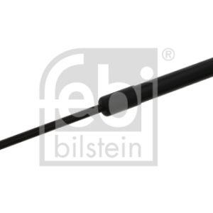 Amortizor portbagaj RENAULT TWINGO II (CN0_) 1.5 dCi (CN0U) diesel 84 cai FEBI BILSTEIN 32908