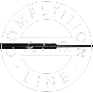 Amortizor portbagaj RENAULT MEGANE II (BM0/1_, CM0/1_) 1.6 Flex-Fuel Benzina/Etanol 105 cai AIC 53871