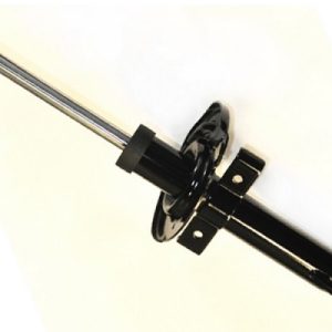 Amortizor RENAULT MEGANE II Coupe-Cabriolet (EM0/1_) 1.6 16V benzina 112 cai ASAM AUTOMOTIVE 71435