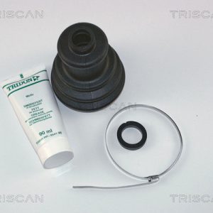 Ansamblu burduf articulatie planetara RENAULT 19 I Cabriolet (D53_) 1.7 benzina 95 cai TRISCAN 8540 10804