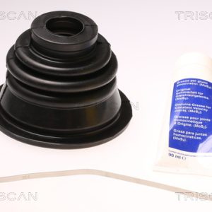 Ansamblu burduf articulatie planetara RENAULT 19 II Chamade (L53_) 1.8 (453A/F) benzina 90 cai TRISCAN 8540 25902