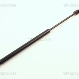 Amortizor portbagaj RENAULT 11 (B/C37_) 1.2 (B37S, C375) benzina 55 cai TRISCAN 8710 2507