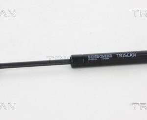 Amortizor capota RENAULT GRAND SCENIC III (JZ0/1_) 1.9 dCi (JZ0J, JZ0N, JZ1K, JZ1S) diesel 131 cai TRISCAN 8710 25104