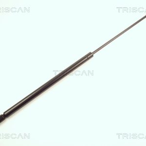 Amortizor portbagaj RENAULT SCENIC I microbus (JA0/1_, FA0_) 2.0 16V (JA1D, JA17) benzina 140 cai TRISCAN 8710 25210