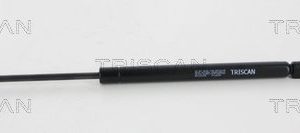 Amortizor portbagaj RENAULT MEGANE II (BM0/1_, CM0/1_) 1.6 Flex-Fuel Benzina/Etanol 105 cai TRISCAN 8710 25226