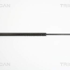 Amortizor portbagaj RENAULT GRAND SCENIC II (JM0/1_) 1.9 dCi (JM14) diesel 131 cai TRISCAN 8710 25229