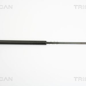 Amortizor portbagaj RENAULT CLIO III (BR0/1, CR0/1) 1.5 dCi (BR0H, CR0H, CR1S, BR1S) diesel 106 cai TRISCAN 8710 25234