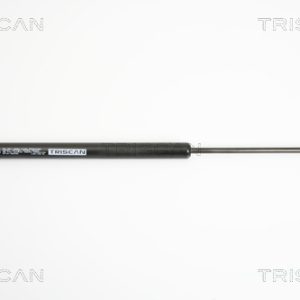 Amortizor portbagaj RENAULT GRAND SCENIC II (JM0/1_) 1.6 Flex Benzina/Etanol 112 cai TRISCAN 8710 25236