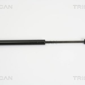 Amortizor portbagaj RENAULT MEGANE II limuzina (LM0/1_) 1.5 dCi (LM16) diesel 103 cai TRISCAN 8710 25237