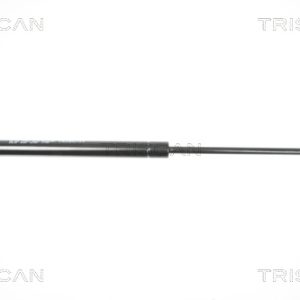 Amortizor portbagaj RENAULT TWINGO II (CN0_) 1.2 16V (CN0K, CN0V, CN0A) benzina 76 cai TRISCAN 8710 25238