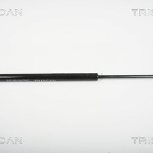 Amortizor luneta RENAULT MEGANE Scenic (JA0/1_) 1.6 16V (JA0B, JA04, JA11, JA00) benzina 107 cai TRISCAN 8710 25241