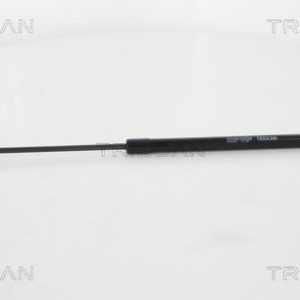 Amortizor portbagaj RENAULT DUSTER (HS_) 2.0 4x4 benzina 142 cai TRISCAN 8710 25264